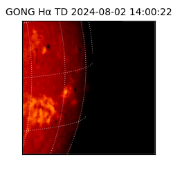 gong - 2024-08-02T14:00:22