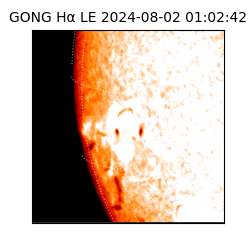 gong - 2024-08-02T01:02:42