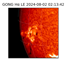 gong - 2024-08-02T02:13:42