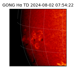 gong - 2024-08-02T07:54:22