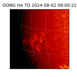 gong - 2024-08-02T08:00:22