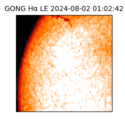 gong - 2024-08-02T01:02:42
