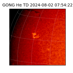 gong - 2024-08-02T07:54:22