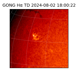 gong - 2024-08-02T18:00:22