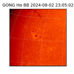 gong - 2024-08-02T23:05:02