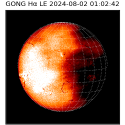 gong - 2024-08-02T01:02:42