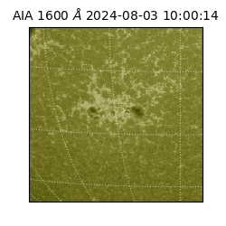 saia - 2024-08-03T10:00:14.118000
