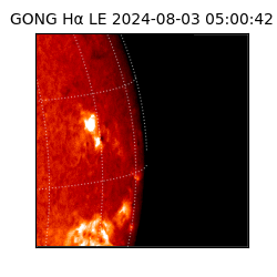 gong - 2024-08-03T05:00:42