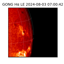 gong - 2024-08-03T07:00:42