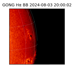 gong - 2024-08-03T20:00:02