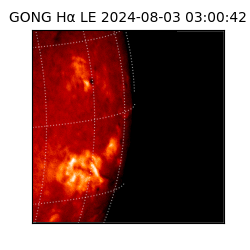 gong - 2024-08-03T03:00:42