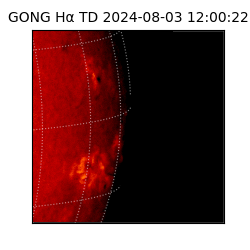 gong - 2024-08-03T12:00:22