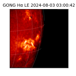 gong - 2024-08-03T03:00:42