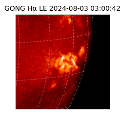 gong - 2024-08-03T03:00:42