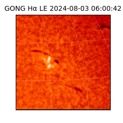 gong - 2024-08-03T06:00:42
