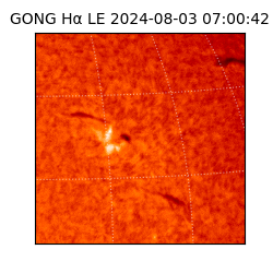 gong - 2024-08-03T07:00:42