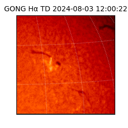 gong - 2024-08-03T12:00:22