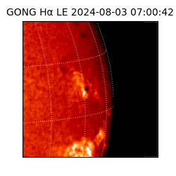 gong - 2024-08-03T07:00:42
