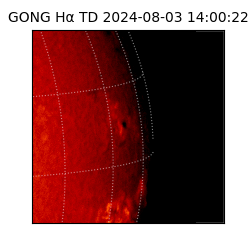 gong - 2024-08-03T14:00:22