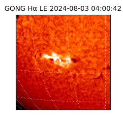 gong - 2024-08-03T04:00:42