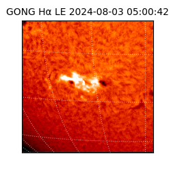 gong - 2024-08-03T05:00:42