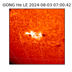gong - 2024-08-03T07:00:42
