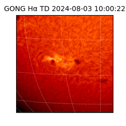 gong - 2024-08-03T10:00:22