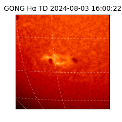 gong - 2024-08-03T16:00:22