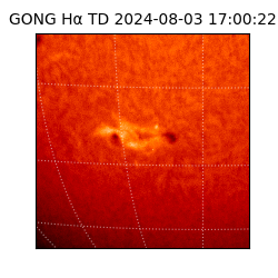 gong - 2024-08-03T17:00:22