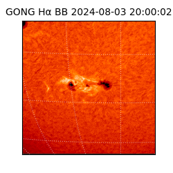 gong - 2024-08-03T20:00:02