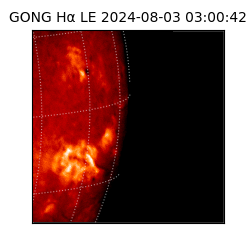 gong - 2024-08-03T03:00:42