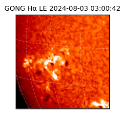 gong - 2024-08-03T03:00:42