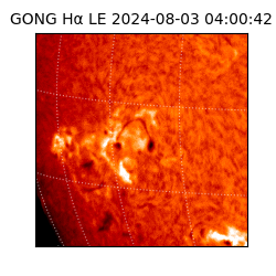 gong - 2024-08-03T04:00:42