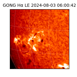 gong - 2024-08-03T06:00:42