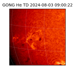 gong - 2024-08-03T09:00:22