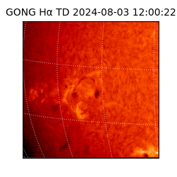 gong - 2024-08-03T12:00:22
