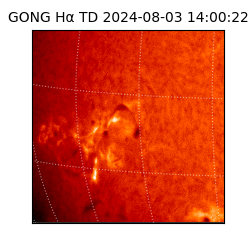 gong - 2024-08-03T14:00:22