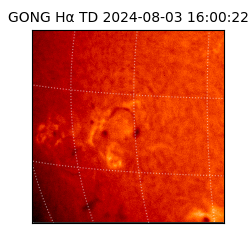 gong - 2024-08-03T16:00:22