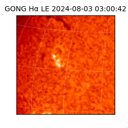 gong - 2024-08-03T03:00:42