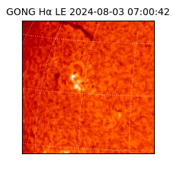 gong - 2024-08-03T07:00:42