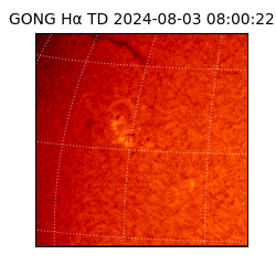 gong - 2024-08-03T08:00:22