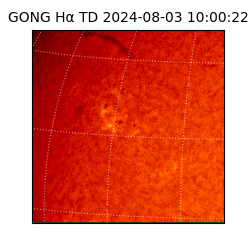 gong - 2024-08-03T10:00:22