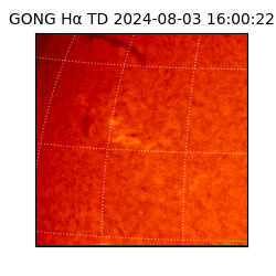 gong - 2024-08-03T16:00:22