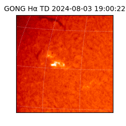 gong - 2024-08-03T19:00:22
