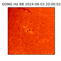 gong - 2024-08-03T20:00:02