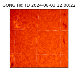gong - 2024-08-03T12:00:22