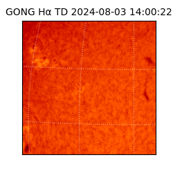 gong - 2024-08-03T14:00:22
