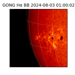 gong - 2024-08-03T01:00:02