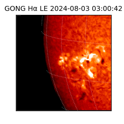 gong - 2024-08-03T03:00:42