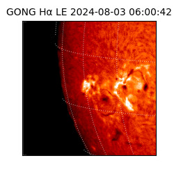 gong - 2024-08-03T06:00:42